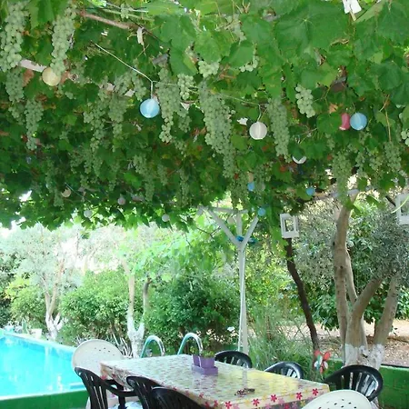 Hotel Farm House *