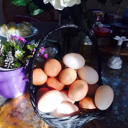 Farm House Hotel Antalya